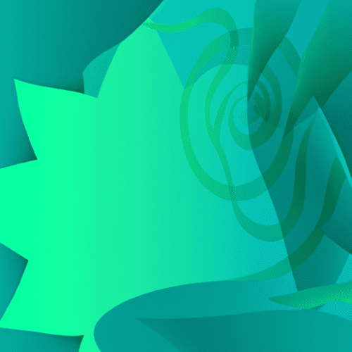 Hainan’s Coral Reefs