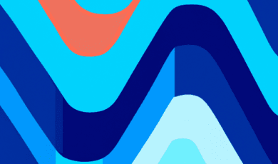 Poyang Lake’s Bird Sanctuaries